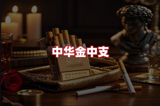 中华金中支